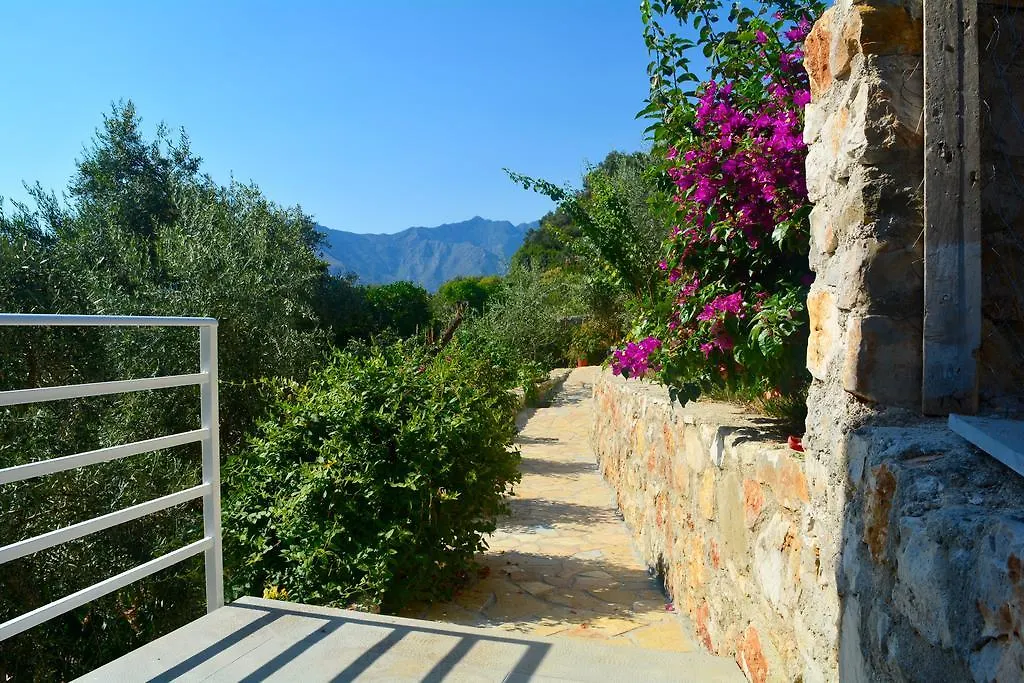 Apartment Villa Goxhi Borsh